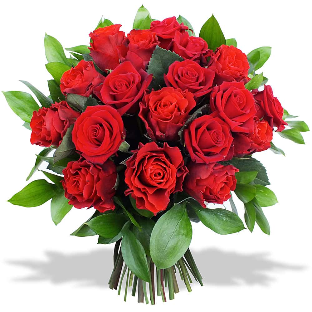 Bukiet 18 Czerwonych Róż | Róża Kwiaty