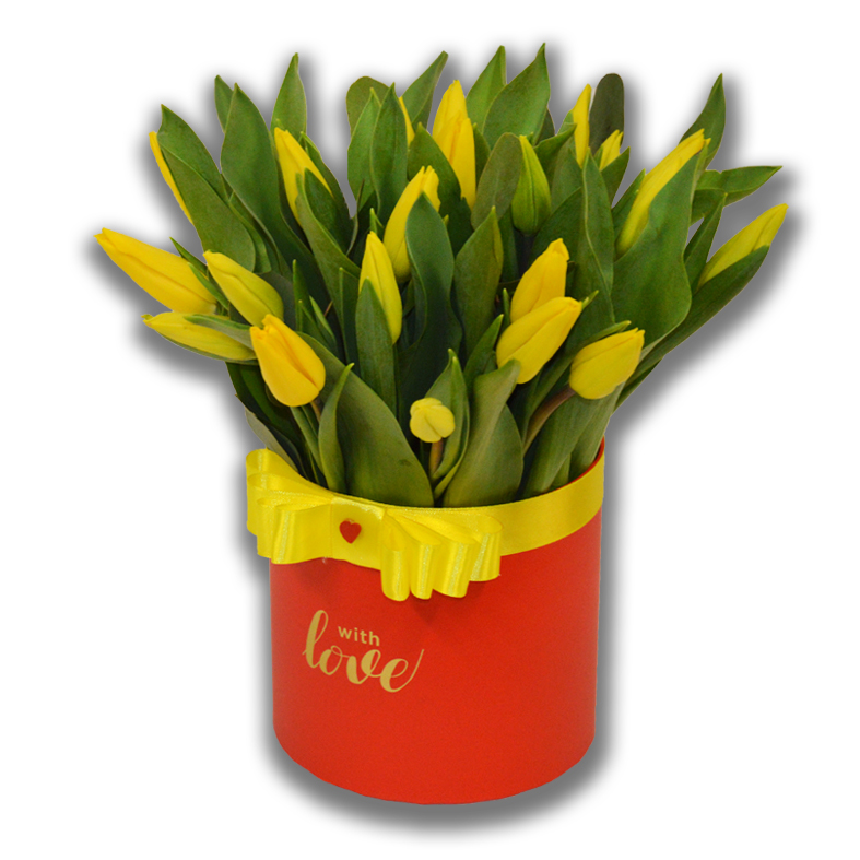 Tulipanoe love